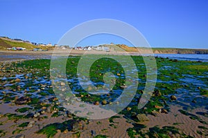 Aberdaron beach with green seaweed Llyn Peninsula Wales