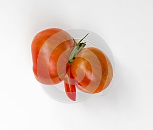 Aberrant Tomato photo