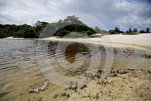 Abete lagoon in salvador photo