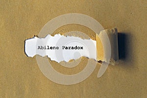 abilene paradox on white paper