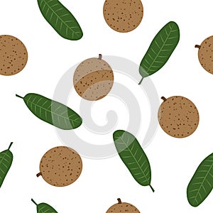 Mammea. Seamless Vector Patterns