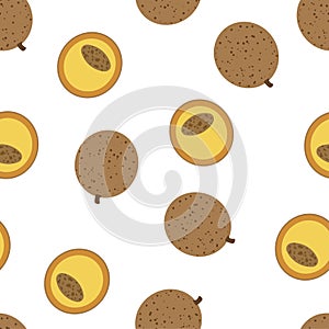 Mammea. Seamless Vector Patterns