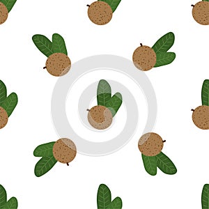 Mammea. Seamless Vector Patterns