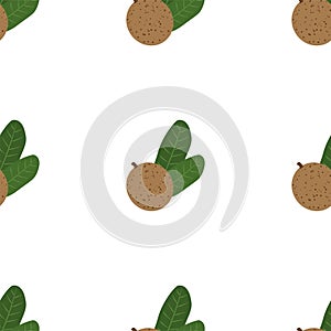 Mammea. Seamless Vector Patterns