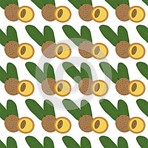 Mammea. Seamless Vector Patterns