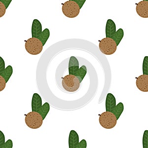 Mammea. Seamless Vector Patterns