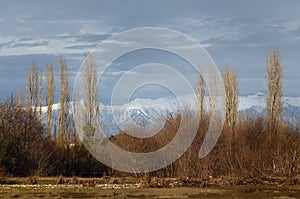 Abkhazia mountains january