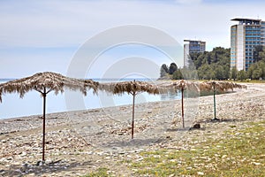 Abkhazia. The resort Pitsunda