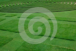 Ably trimmed lawn photo