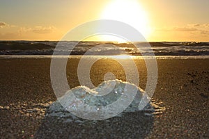 Abnormal foam on the beach. pollution of the sea, poisonous discharges. salt foam, agglomerated on the sand of a beach at sunset photo