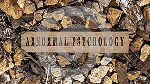 Abnormal psychology. Written on wooden surface. Wooden frame on pieces of stone. Diseases and cures
