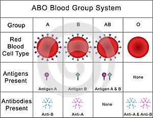 ABO Blood Group System photo