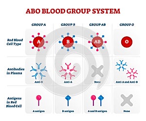 ABO blood group types vector illustration chart