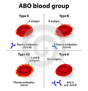 ABO Blood groups photo