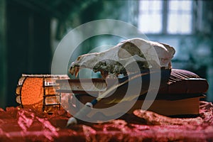 In the abode of the alchemist and magician.