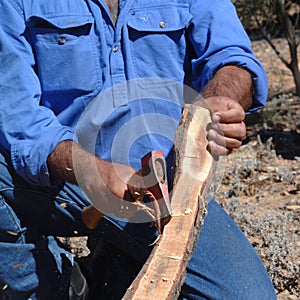 Aboriginal building a boomerang