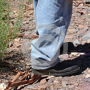 Aboriginal feet in Iga Warta rocks