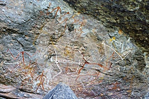 Aboriginal Rock Art