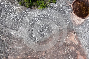 An aboriginal rock carving art