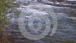 Abounding mountain creek from a Pyrenees mountain in Spain