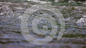 Abounding mountain creek from a Pyrenees mountain in Spain, slow motion footage