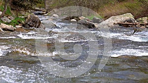 Abounding river detail with close up of rock, in Spanish Pyrenees mountains