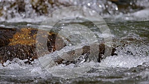 Abounding river detail with close up of rock, in Spanish Pyrenees mountains