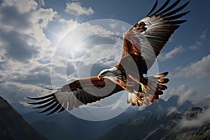 Above clouds, eagles flight undergoes a remarkable, transformative journey