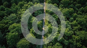 From above drone view of green lush forest with asphalt road in the middle. Generative AI