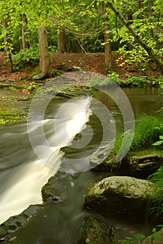 Above The Falls