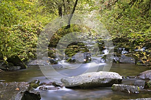 Above the Falls