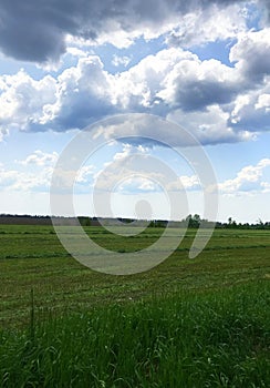 Above the field, the sky became somewhat gloomy