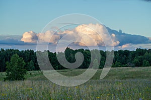 Above Forest Floating Cumulus Clouds In Evening In Summer