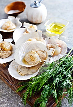 From above fresh appetizing scallop with shell served on wooden boars