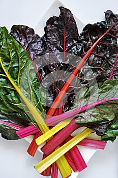 Above of Fresh Colorful Swiss Chard