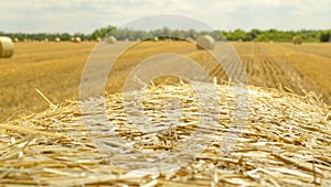 Above Hey bale. Farming with the sky. Rural nature in farmlands. Straw in the meadow. Wheat yellow-golden harvest in summer. On