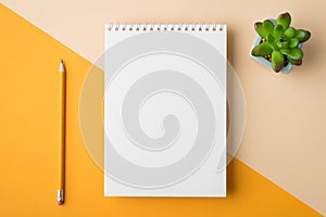 Above overhead close up flatlay view photo of clear spiral textbook with drawing pencil and succulent plant isolated half yellow