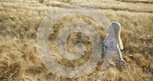 Above Portrait Beautiful Young Blonde Woman Natural Make Up Charming Smile Happily Jumping Spinning Golden Spikes Wheats