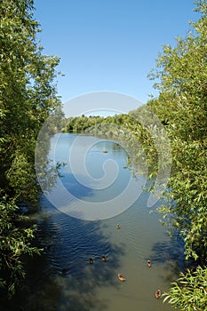 Above the river photo