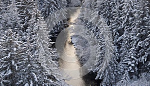 Above river through forest in winter with snow