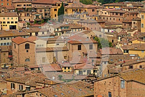 Above the roofs of the old city. Siena, Italy