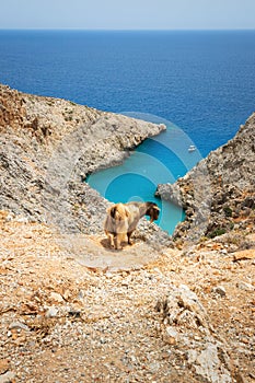 Above Seitan Limani beach in Crete, Greece