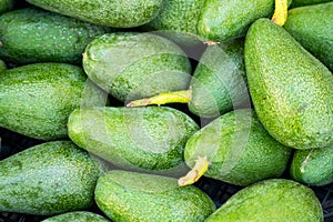 Above shoot of a pile of very delicious exotic vegetable, avacado.