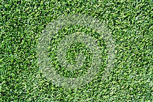 Above shot of green grass or lawn of a play ground or field. Pattern and Textured concept.