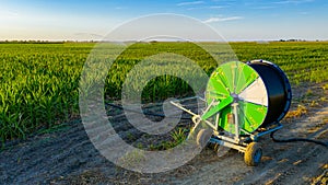 Aerial view on irrigation reel, agricultural water sprinkler, sprayer, sending out jets of water to irrigate corn farm crops