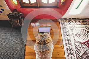 Above view of blonde curly hair beautiful woman lay down on the wooden floor working at computer laptop - hotel or home