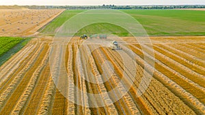 Above view on combine, harvester machine, harvest ripe cereal