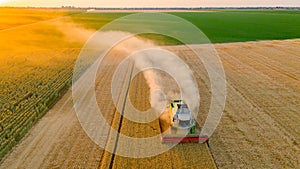 Above view on combine, harvester machine, harvest ripe cereal at sunset