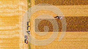 Above view on combine, harvester machine, harvest ripe maize