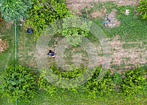 Above view of Farmer mowing with lawn mower